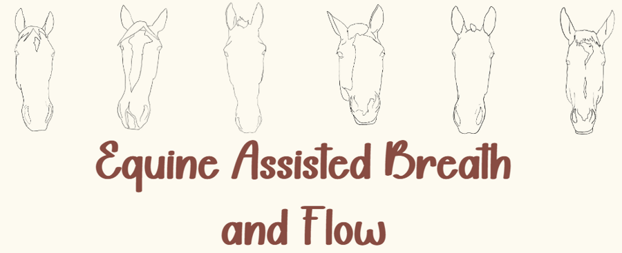 Equine Assisted Breath and Flow